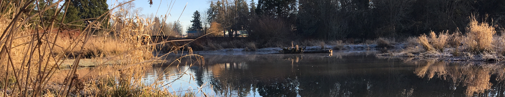 image of Claggett Creek with morning light